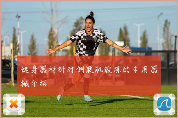 健身器材针对侧腹肌锻炼的专用器械介绍