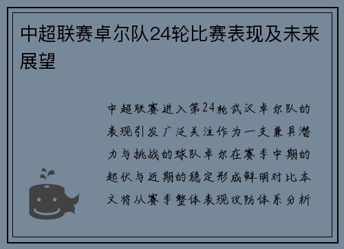 中超联赛卓尔队24轮比赛表现及未来展望