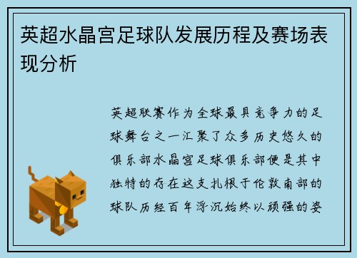 英超水晶宫足球队发展历程及赛场表现分析
